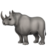  Rhino Tracking & Curated Birdwatching