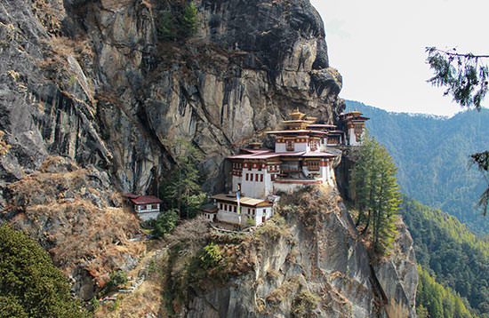 Kingdom of Thunder Dragon