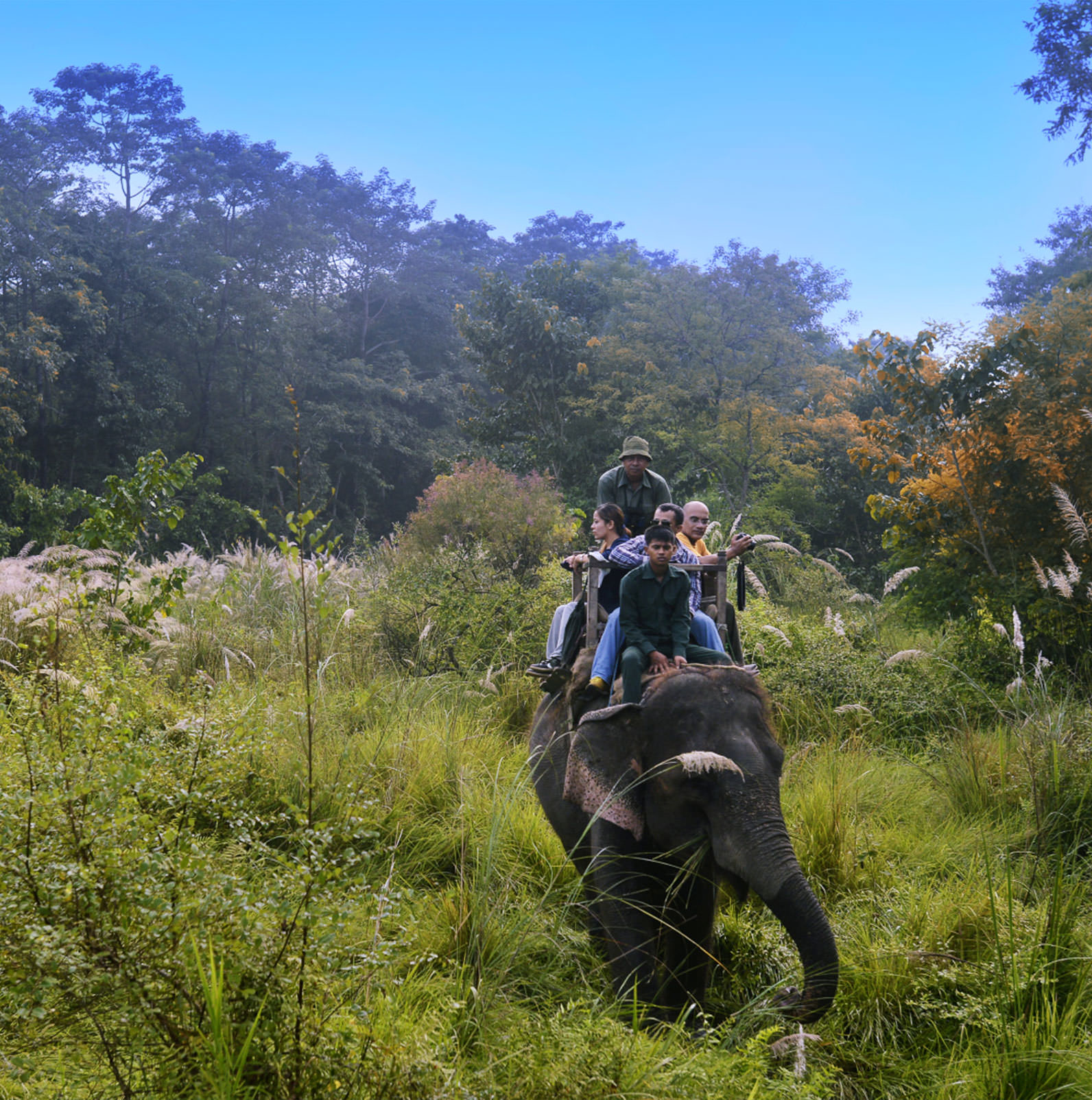 BILAk-Elephant-safari.jpg