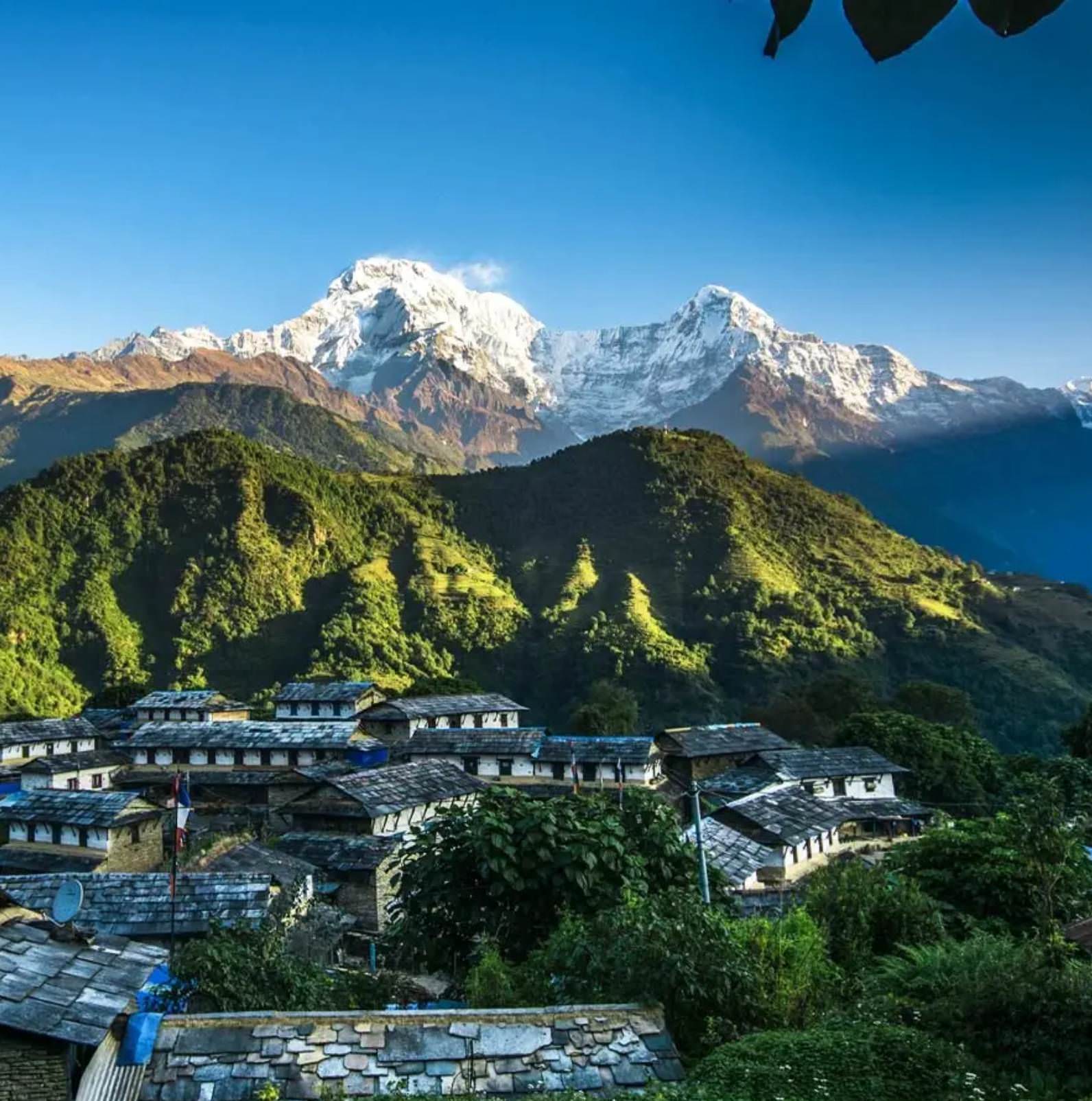 DN6K1-ghandruk.jpg