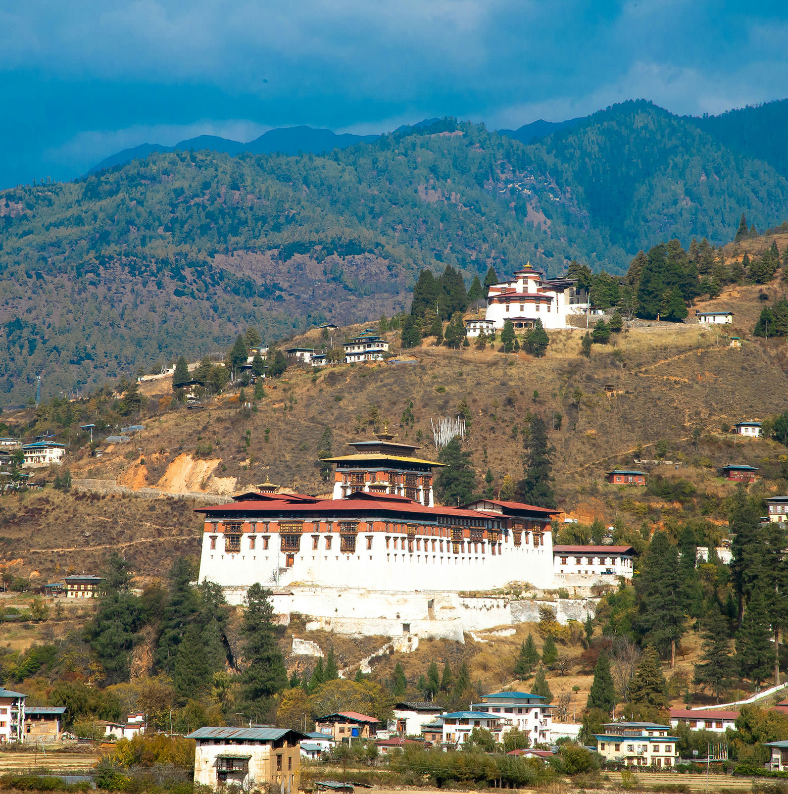 VPM20-Drugyel-dzong.jpg