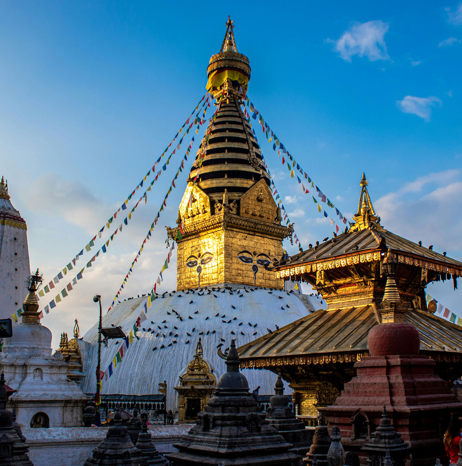 mzz5d-LqHg9-Swoyambhunath.jpg