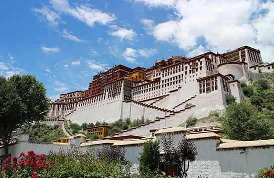 5 Days fly in fly out tour 